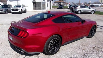 2022 Ford Mustang EcoBoost